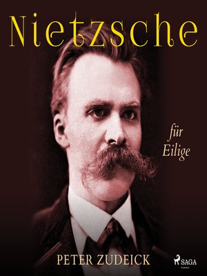 cover image of Nietzsche für Eilige